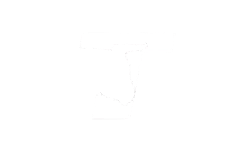 Toro Logo